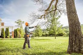 How Our Tree Care Process Works  in  Birmingham, AL